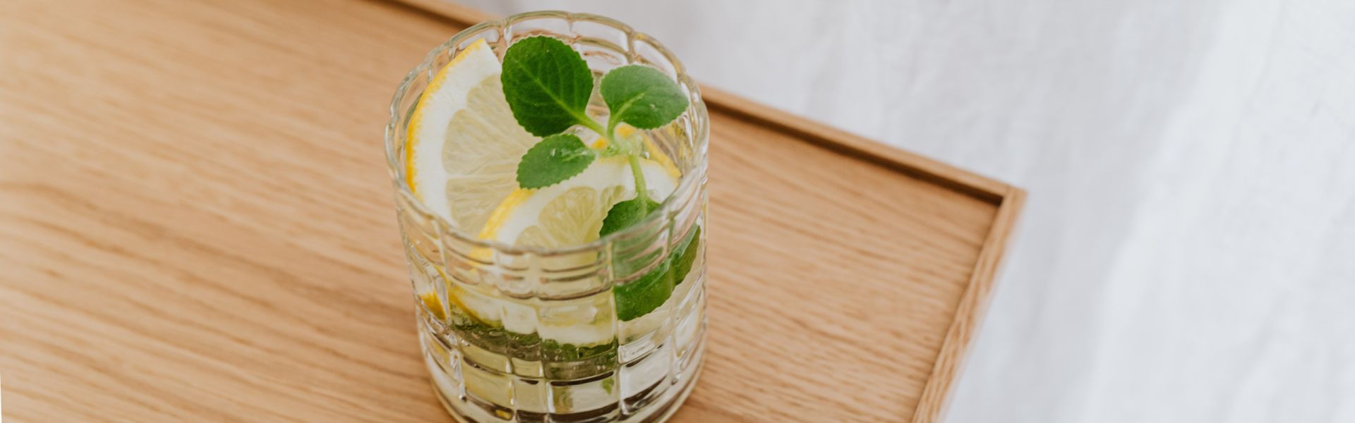 Gin Tonic mit Minze und Zitrone